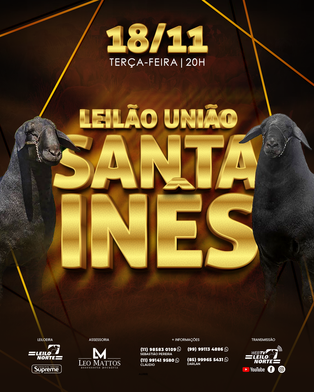 Santa Inês